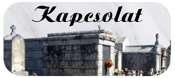 Kapcsolat